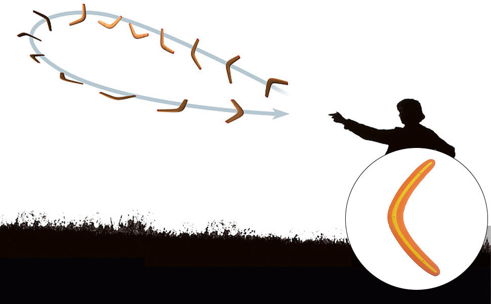 Paul Günther 1374 Pegasus Boomerang Boomerang Sport Kids Children Beginner Spin