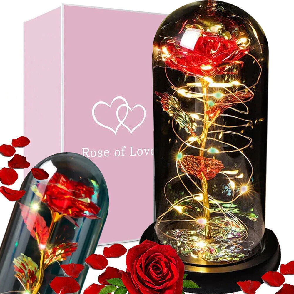 LED Glas Rose Ewige Blume Geschenk für Freundin Mutter Valentinstag Geburtstag
💕💕💕💕💕💕💕💕