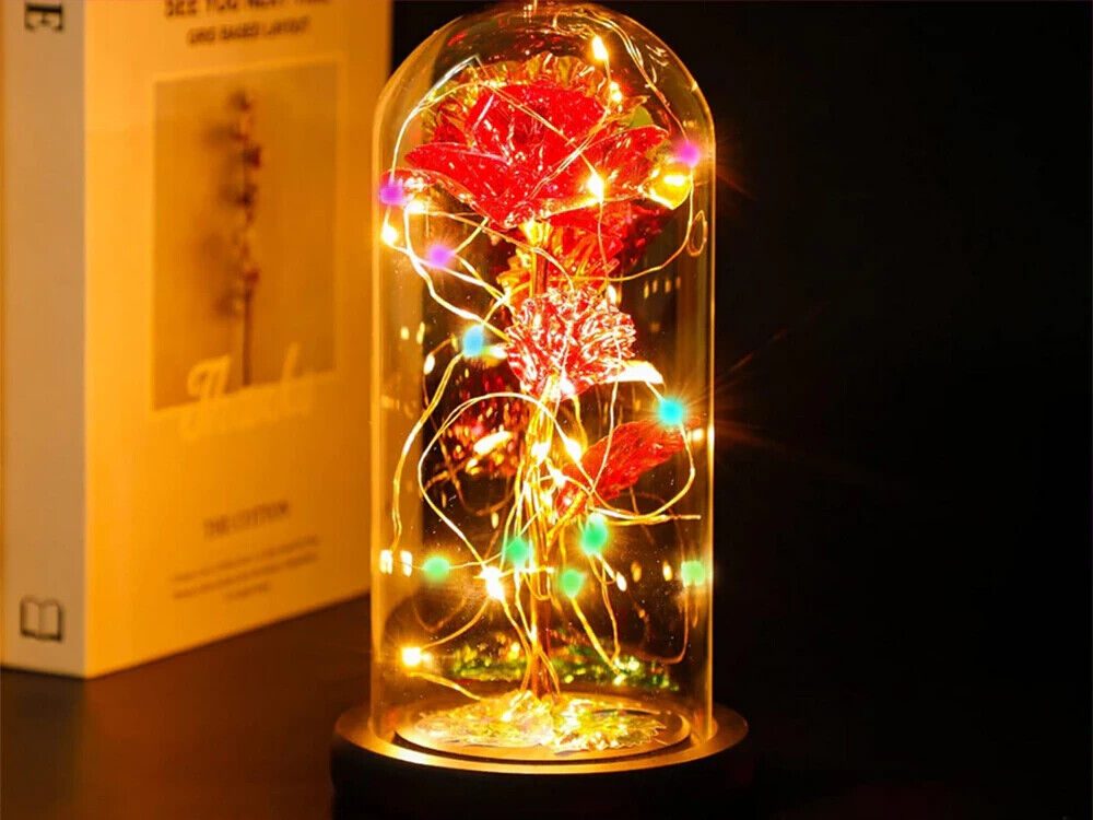 LED Glas Rose Ewige Blume Geschenk für Freundin Mutter Valentinstag Geburtstag
💕💕💕💕💕💕💕💕