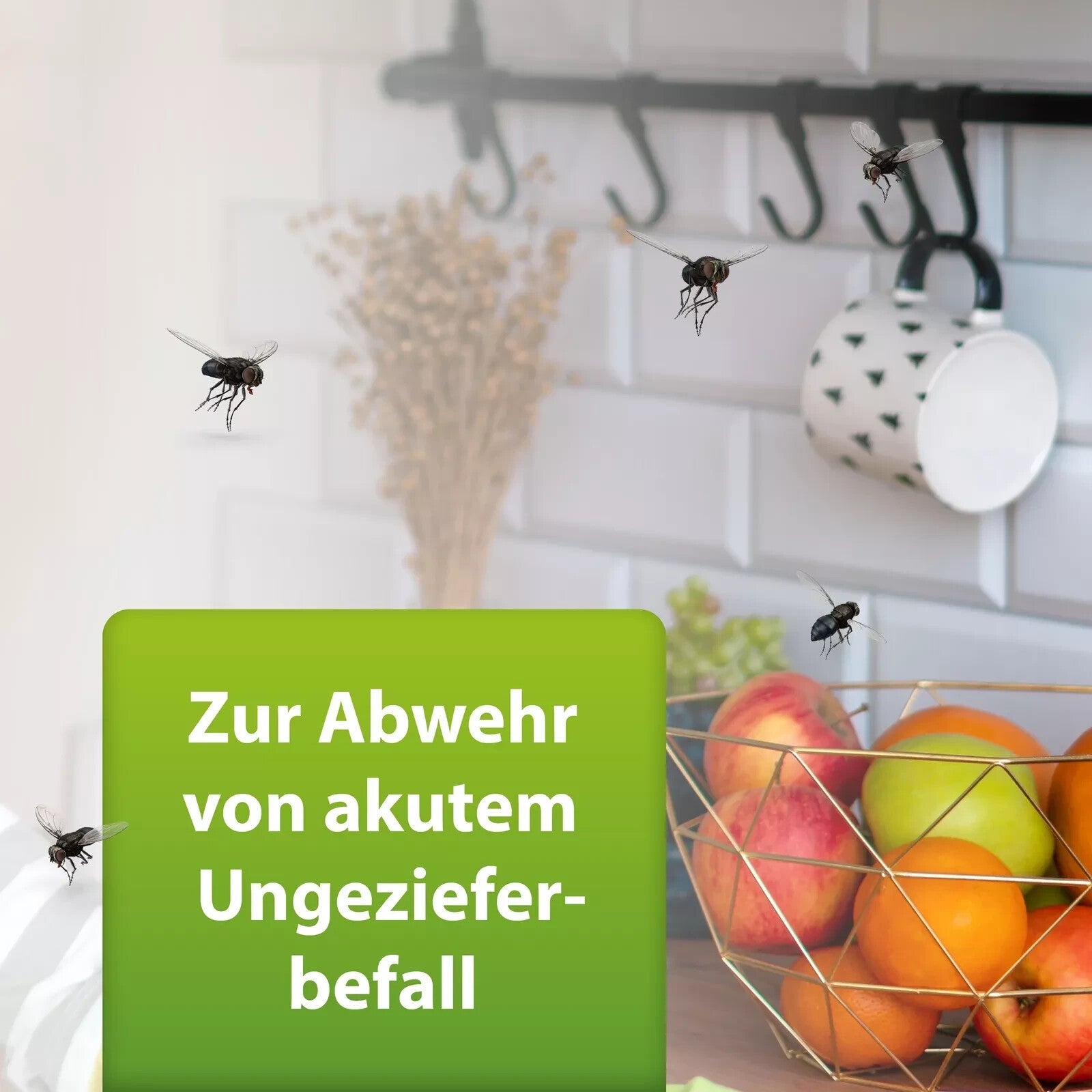 ARDAP Ungezieferspray 750ml – Starkes Insektenspray gegen Fliegen, Mücken & Ungeziefer
