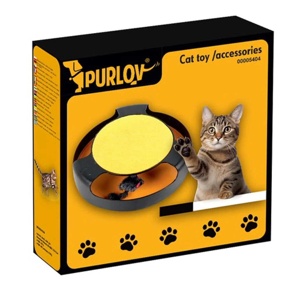 Katzenspielzeug mit Maus & Kratzmatte – Interaktiver Spielring für Katzen 🐾🐾🐾