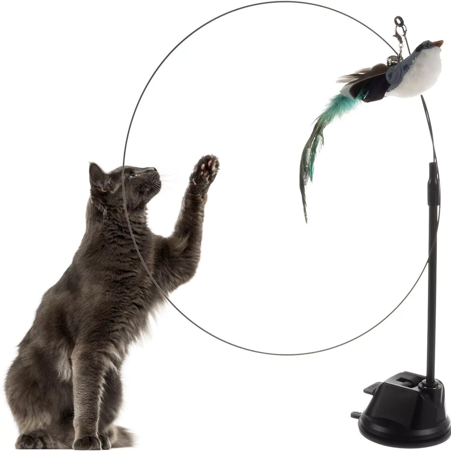 Katzenspielzeug Vogel mit Saugnapf & Angel – Interaktiv & Feder-Spielspaß 🐾🐾🐾