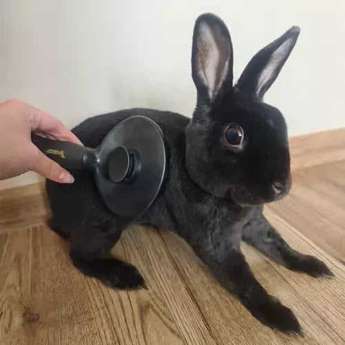 Hundebürste Katzenbürste Fellkamm Selbstreinigend für alle Felltypen Purlov