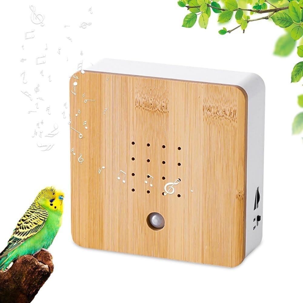 Vogelgezwitscher Box mit Bewegungsmelder – Entspannende Naturgeräusche für Zuhause, Büro & Bad