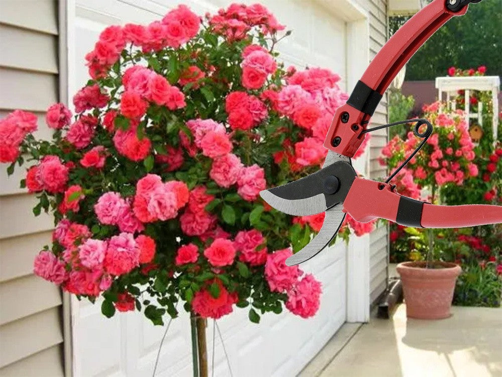 Gartenschere Handschere Pflanzenschere Strauchschere mit Sicherheitsverschluss 5907451356487
