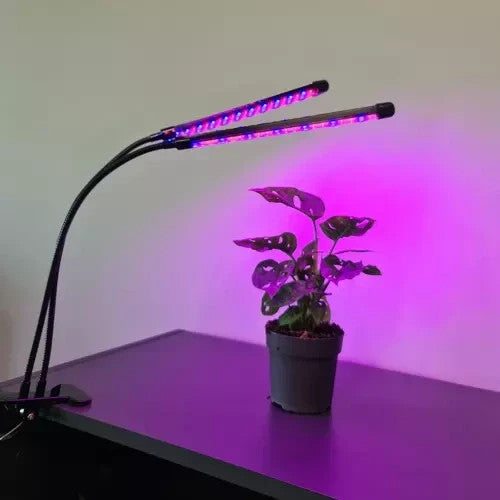 LED Pflanzenlampe 20W mit Timer und Dimmer – Pflanzenlicht für Zimmerpflanzen & Anzucht