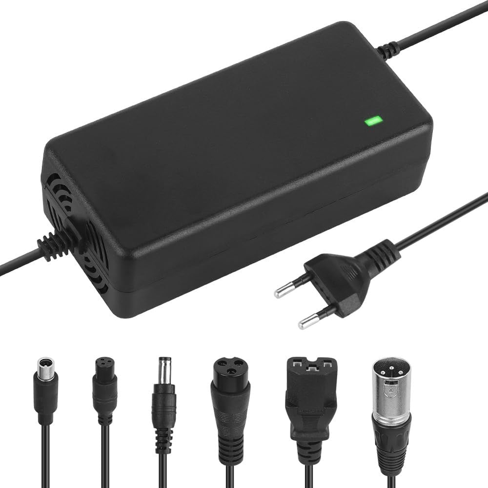 54.6V 2A Ladegerät 6 in 1 für E-Scooter Hoverboard E-Bike Akku 🔋
