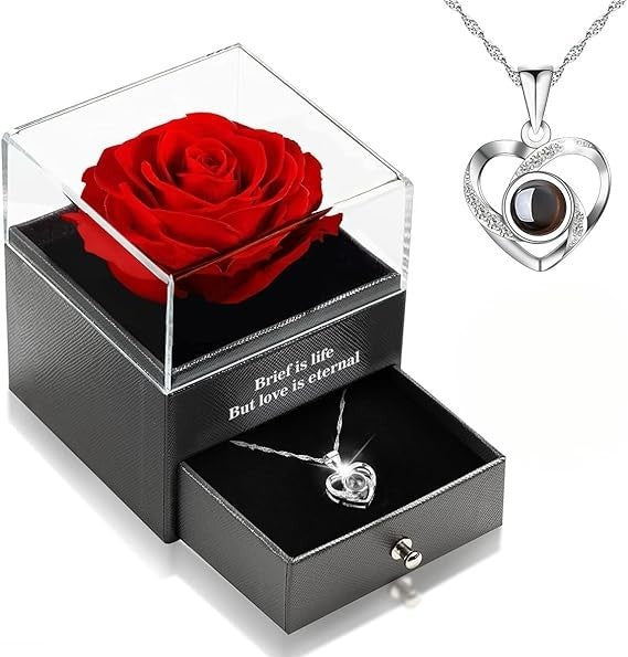 Ewige Rose Geschenkset mit 925 Silber Kette Valentinstag Geschenk