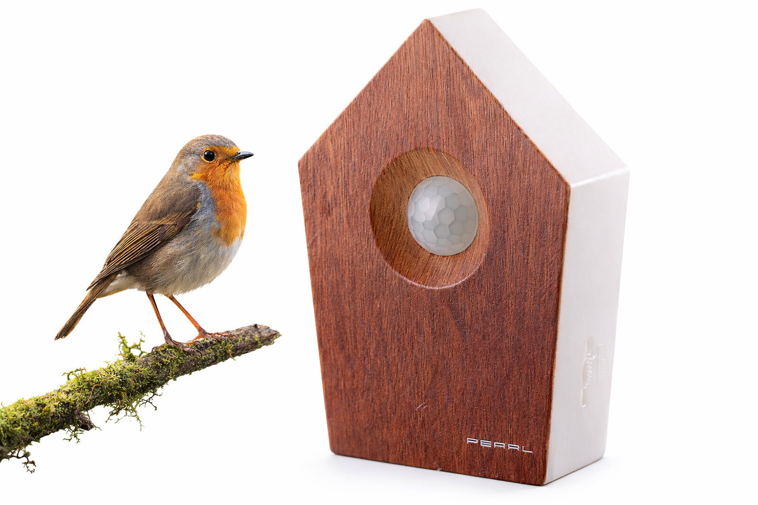 Vogelgesang Box mit Bewegungssensor 120s Vogelgezwitscher Holzoptik 🌿