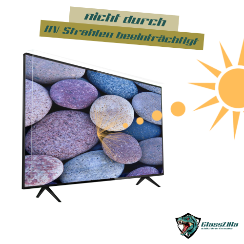 58 inch TV protector / TV screen protector / display protector / TVs