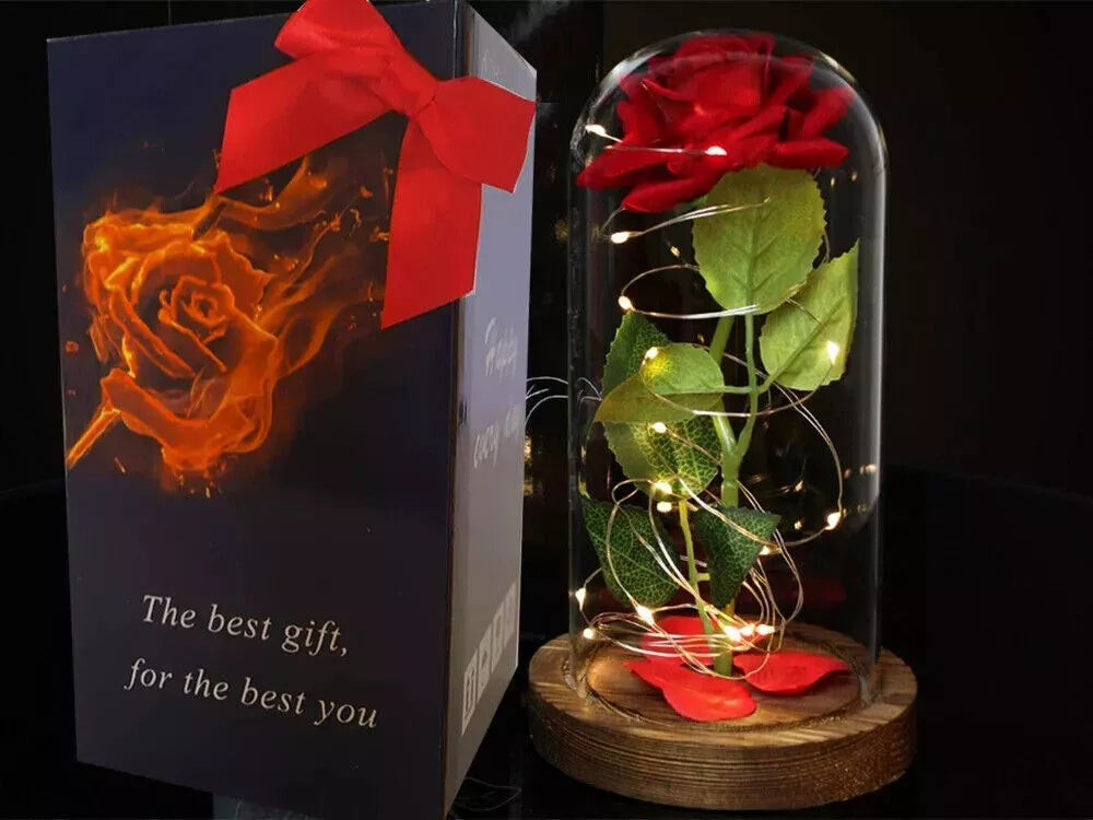 LED Ewige Rose im Glas für Frauen Geburtstag Schöne Biest Valentinstag Geschenk