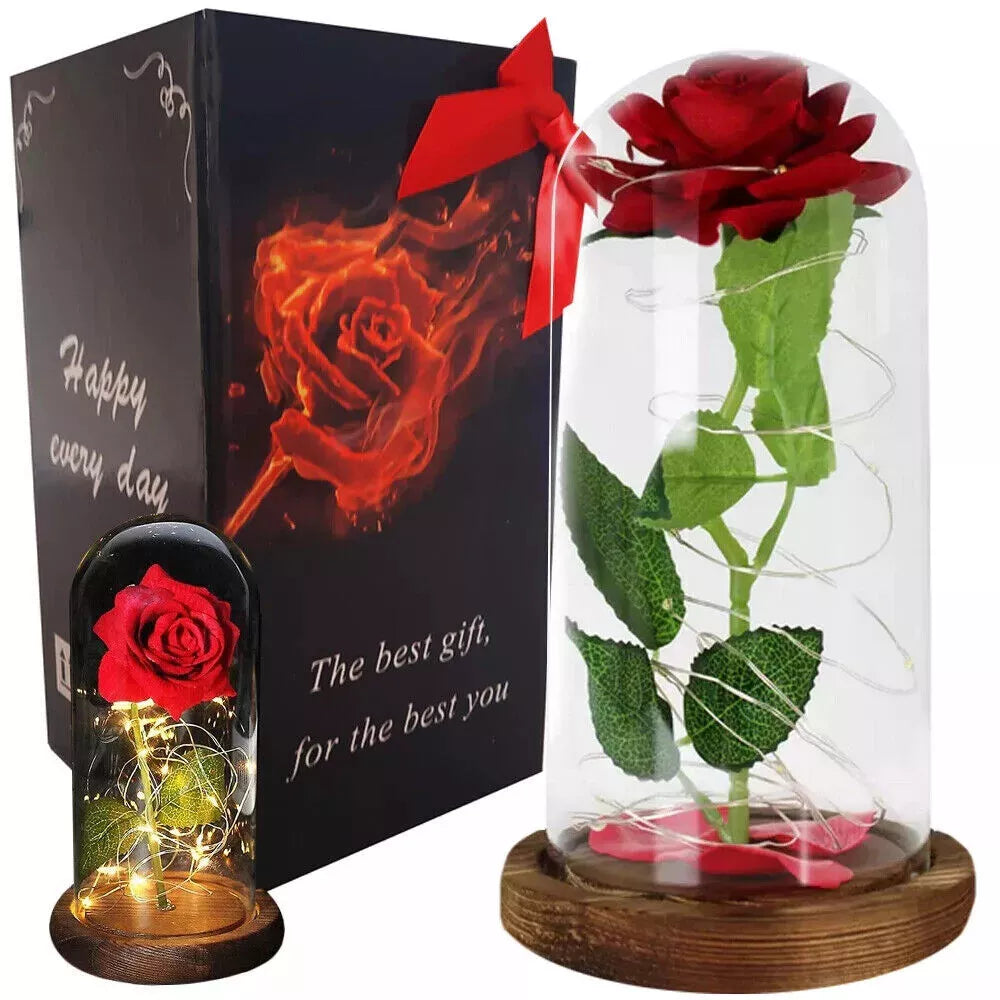 LED Ewige Rose im Glas für Frauen Geburtstag Schöne Biest Valentinstag Geschenk