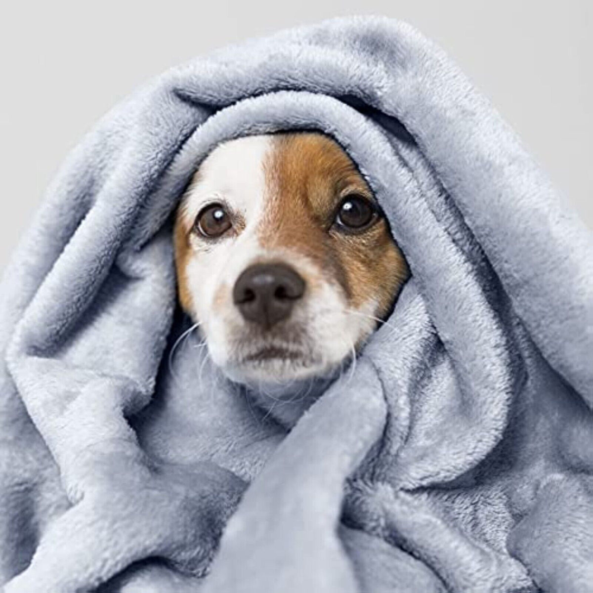 7 Tipps, wie du dein Zuhause im Herbst energiesparend warm hältst