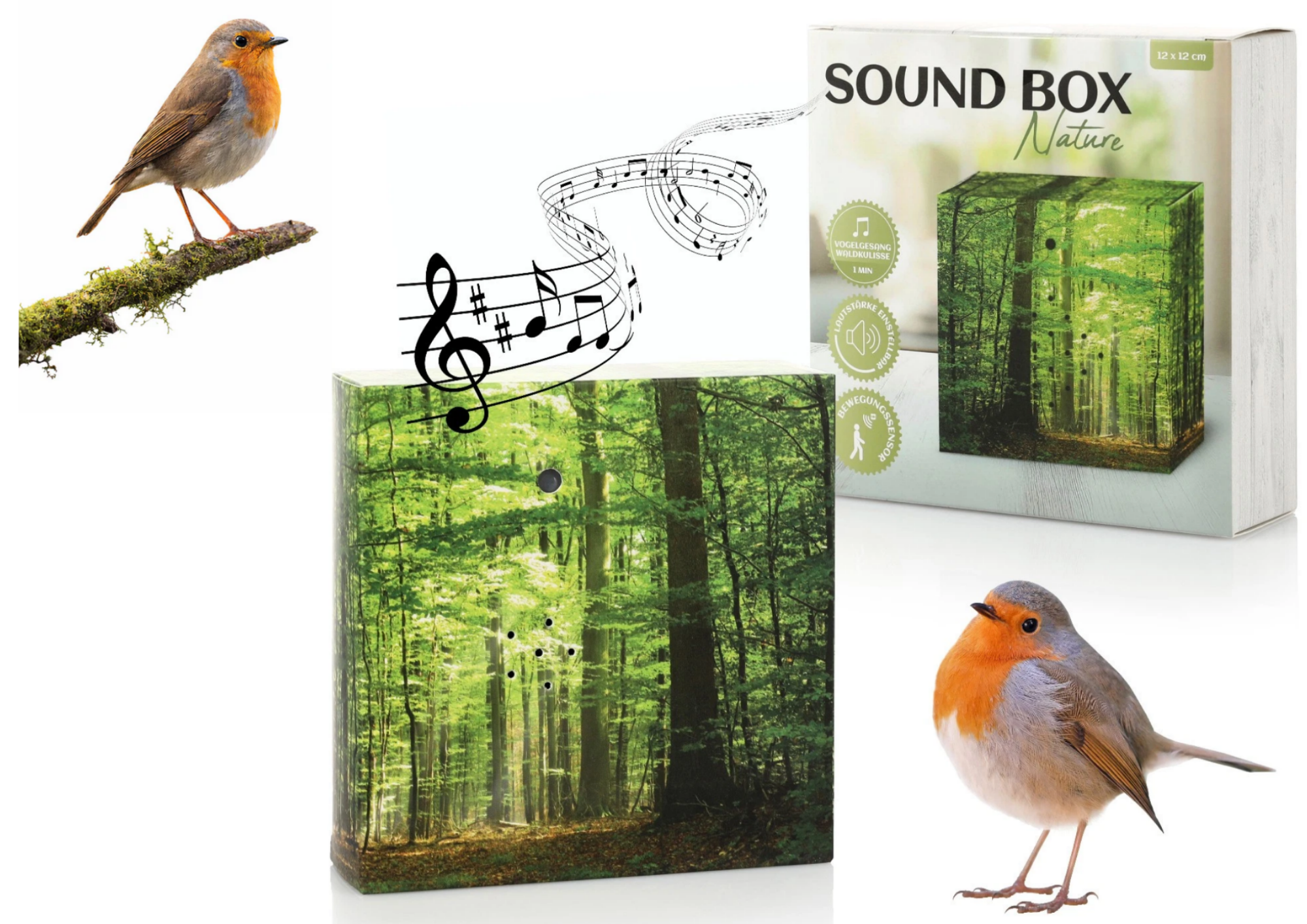 Soundbox mit Bewegungsmelder – Naturklänge, Vogelgezwitscher & Wellenrauschen für Entspannung im Bad & Büro