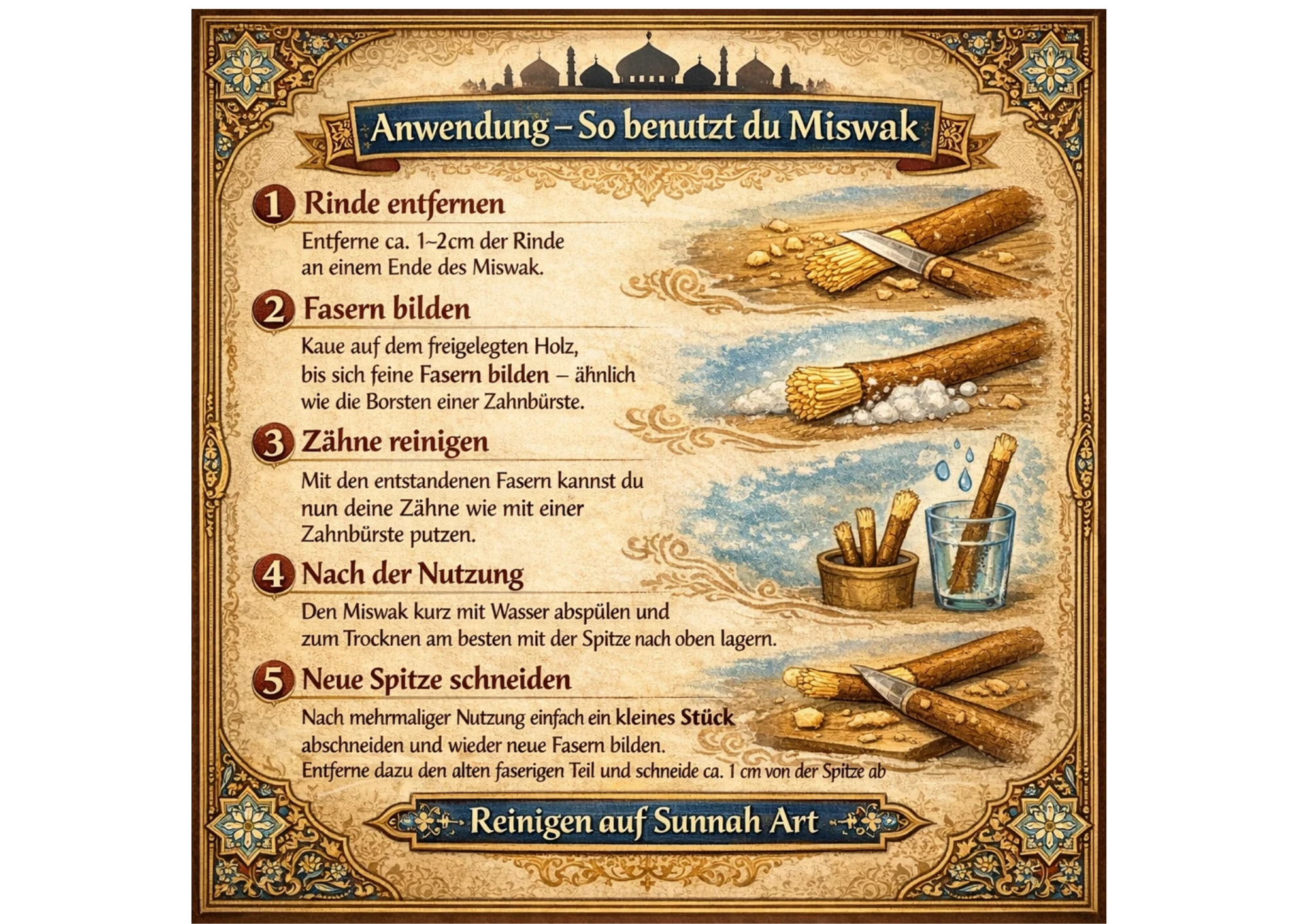 1x Miswak Zahnbürste Natur Sewak Al Najam Sunnah vakuumverpackt
