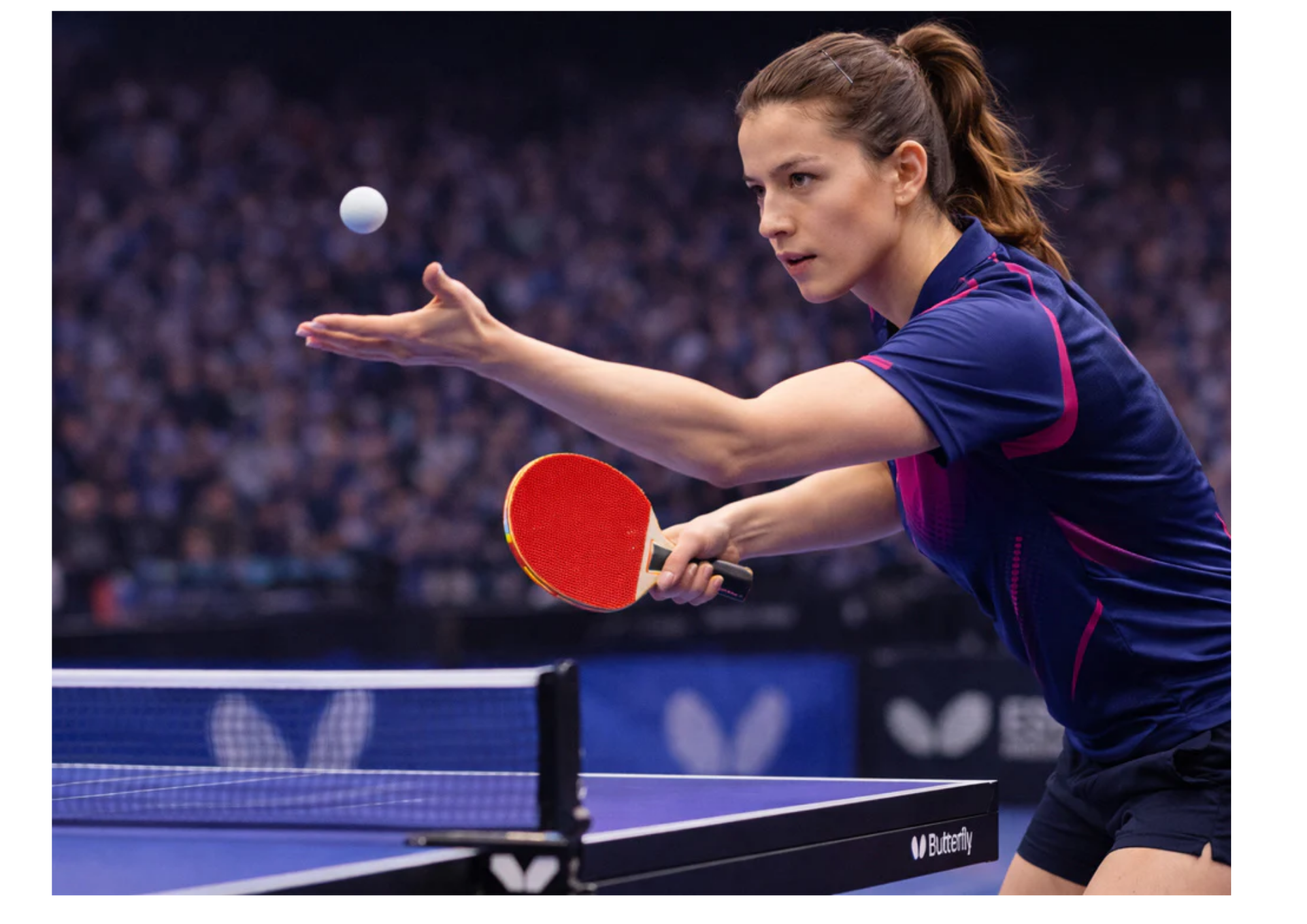 Tischtennis Set 2 Schläger 3 Bälle Netz Garnitur Ping Pong Komplett