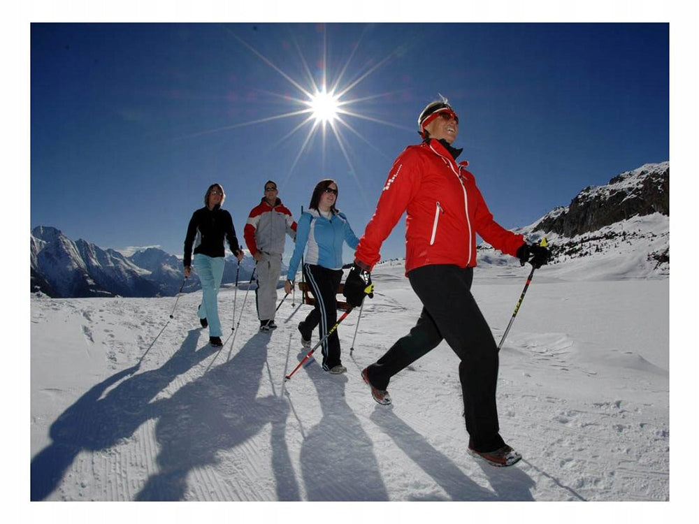 Nordic Walking Stock Einzelstück 64-135cm Alu Korkgriff Antischock Teleskop

🏞️🏞️💪