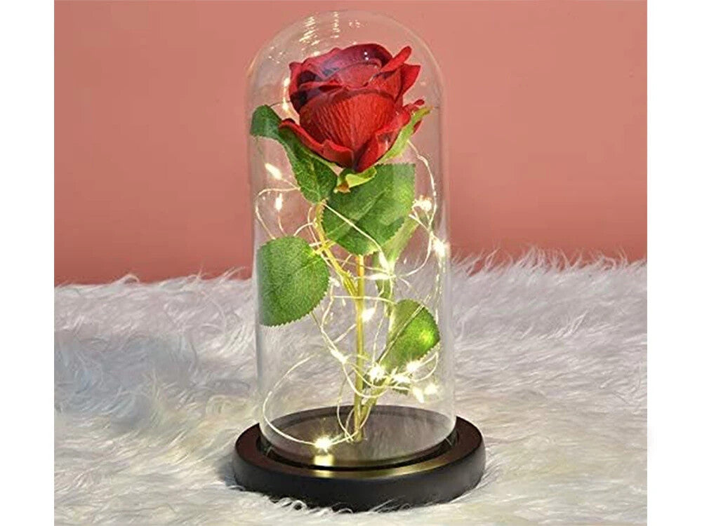 Romantische LED Rose im Glas Geschenkidee Geburtstag Valentinstag Jahrestag
 💕-