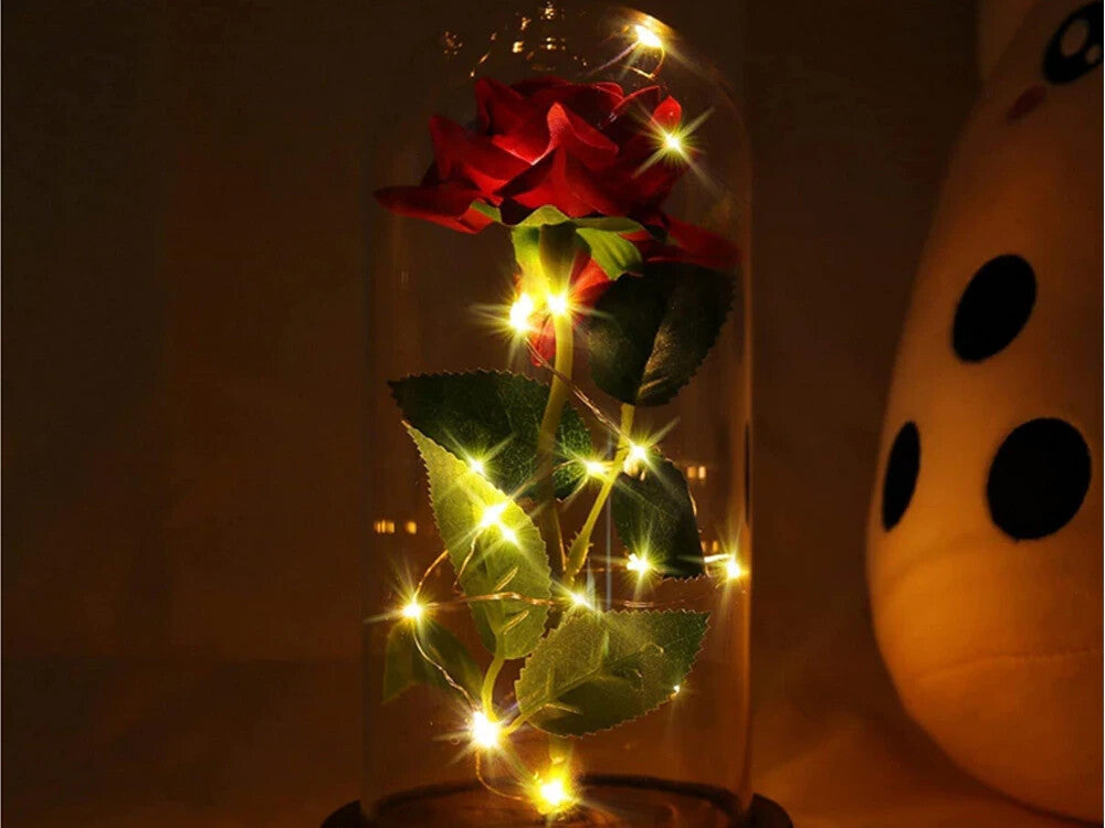 Romantische LED Rose im Glas Geschenkidee Geburtstag Valentinstag Jahrestag
 💕-