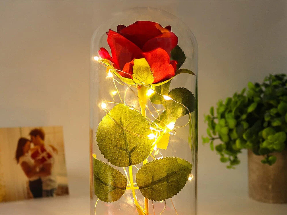 Romantische LED Rose im Glas Geschenkidee Geburtstag Valentinstag Jahrestag
 💕-