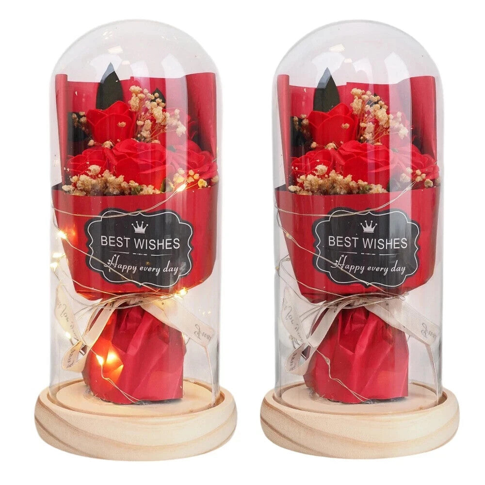 Ewige Rose im Glas LED Beleuchtung Schöne Biest Geschenk Valentinstag Frauen