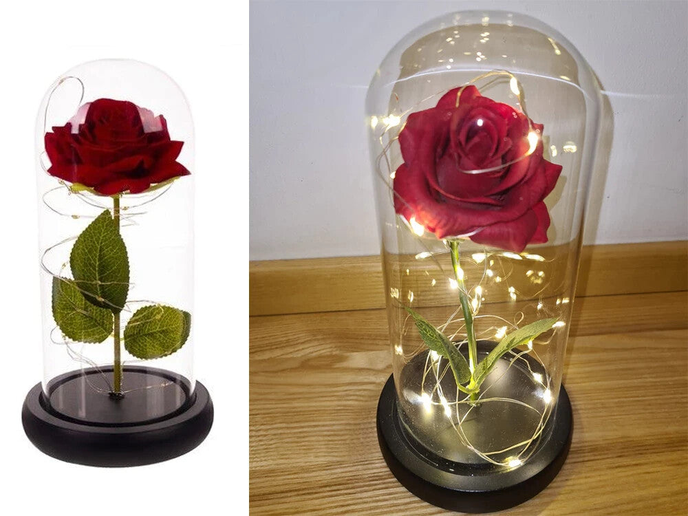 LED Ewige Rose im Glas Rot Geschenk für Frauen Valentinstag Geburtstag Deko
