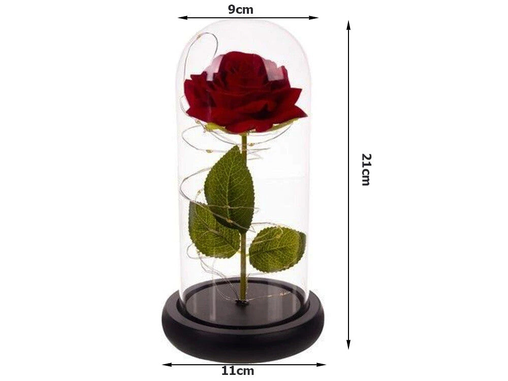 LED Ewige Rose im Glas Rot Geschenk für Frauen Valentinstag Geburtstag Deko