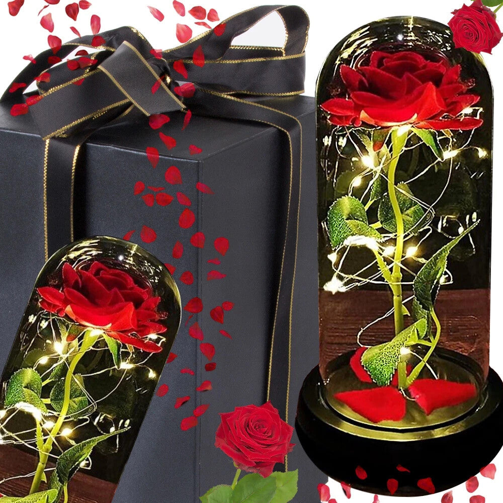 LED Ewige Rose im Glas Rot Geschenk für Frauen Valentinstag Geburtstag Deko