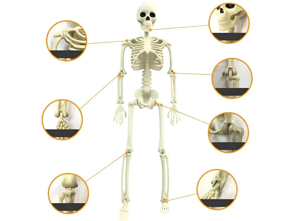 Halloween Deko 👻 Hängendes Menschliches Skelett 40cm Weiß Kunststoff 🎭