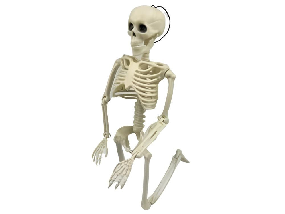 Halloween Deko 👻 Hängendes Menschliches Skelett 40cm Weiß Kunststoff 🎭