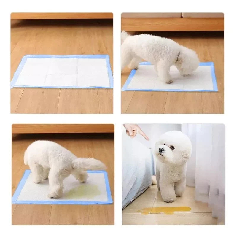 TrHundetrainingsunterlagen 100 Stück 45x33 cm saugstark + Hundeklo Zuhause