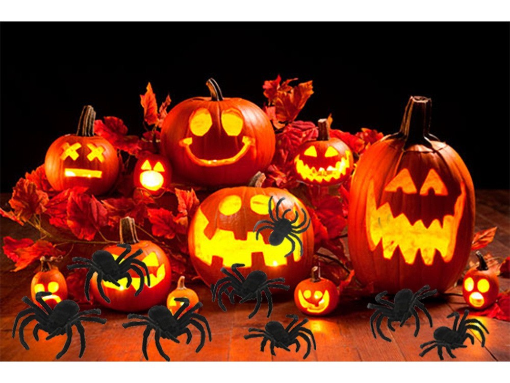 Halloween Spinnen Set 4 Stück Gruselige Schwarze Deko Spinne 11cm