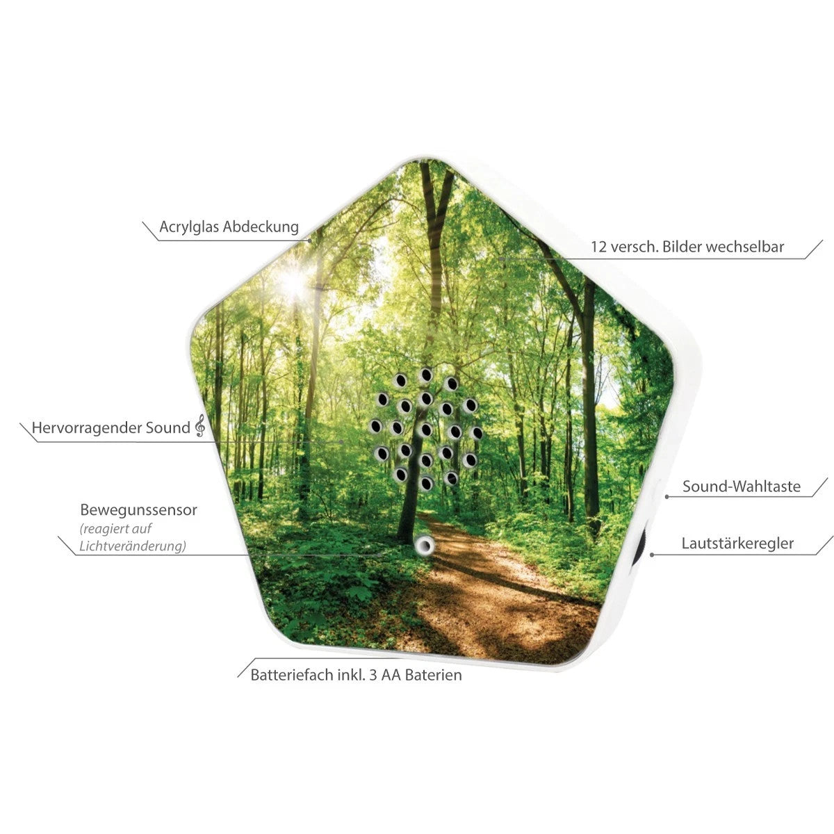 Sound of Nature Box – Naturklänge für Entspannung, mit Bewegungssensor & 12 Wechselbildern