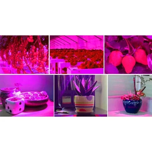 Pflanzenlampe LED 🌱 Grow Lampe 225 LEDs Rot Blau Hängelampe Zimmerpflanzen