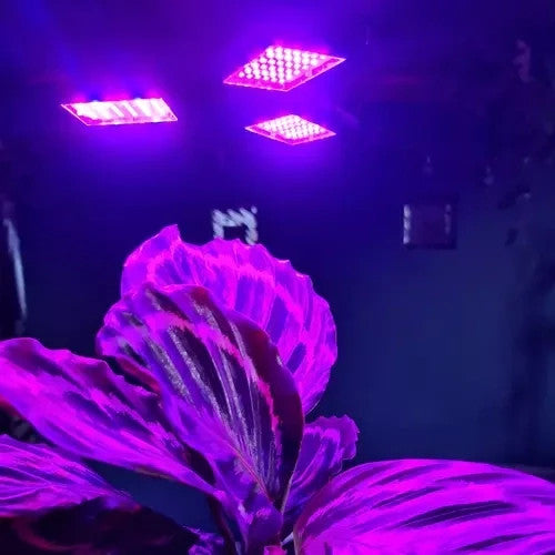 Pflanzenlampe LED Vollspektrum 3 Köpfe Wachstumslampe 108 LED-Dioden 20440