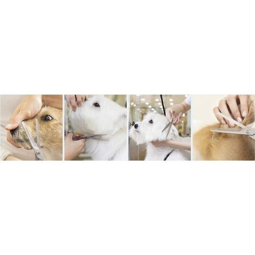 Hundeschere Set mit Rundspitze & Kamm – Edelstahl Fellpflege für Hunde & Katzen