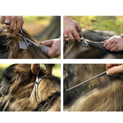 Hundeschere Set mit Rundspitze & Kamm – Edelstahl Fellpflege für Hunde & Katzen