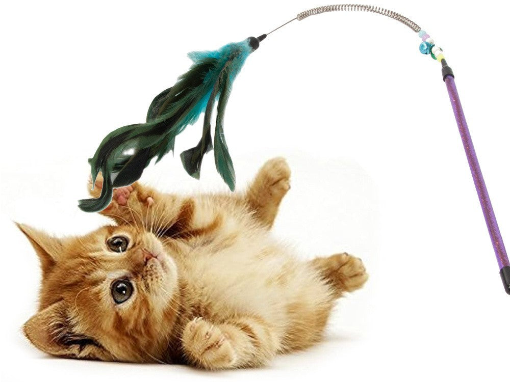 Interaktive Katzenangel mit Federn & Rassel – Spielstab für aktive Katzen, 60 cm lang – Fördert Bewegung & Spaß