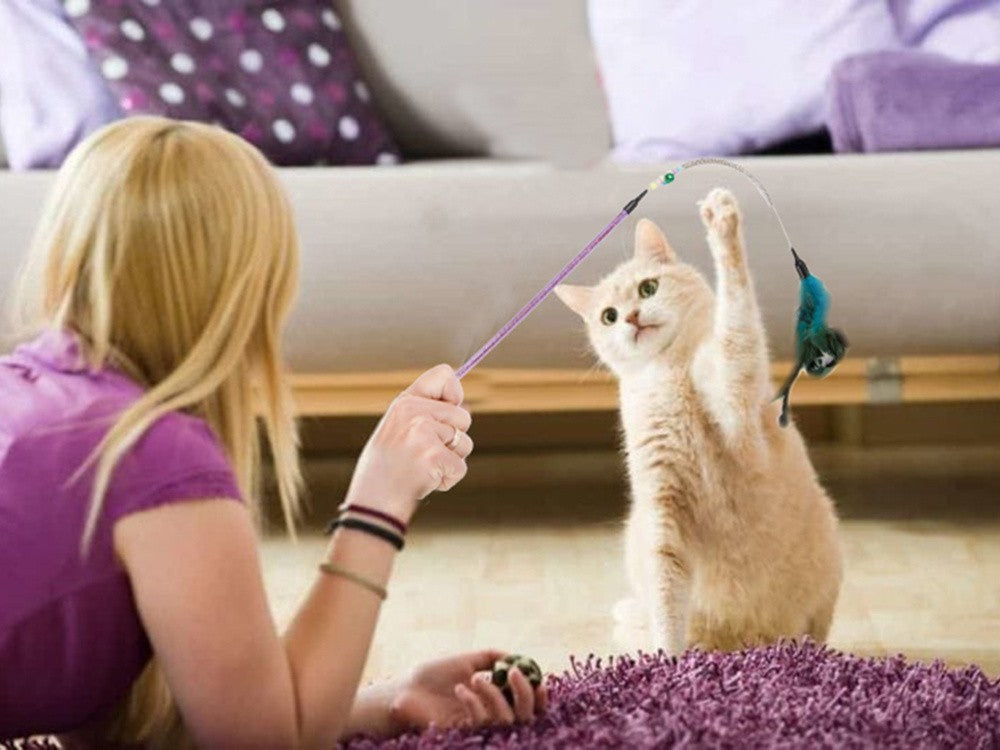 Interaktive Katzenangel mit Federn & Rassel – Spielstab für aktive Katzen, 60 cm lang – Fördert Bewegung & Spaß