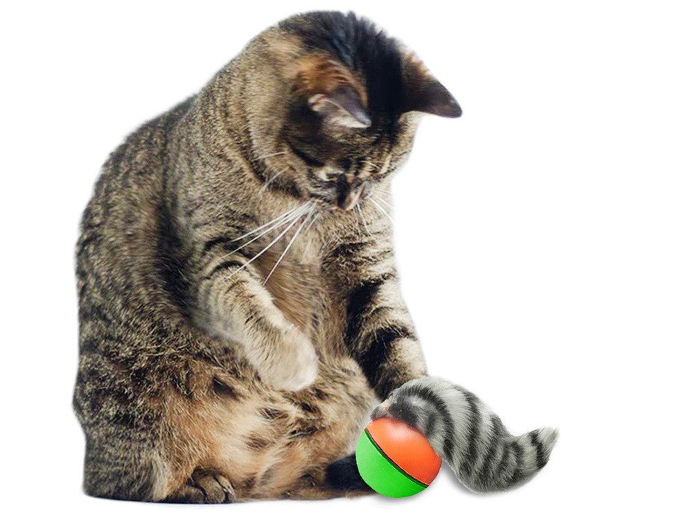 Interaktives Katzenspielzeug – Laufender Ball mit Frettchen & Bewegung – Für Katzen & Hunde, Batteriebetrieben