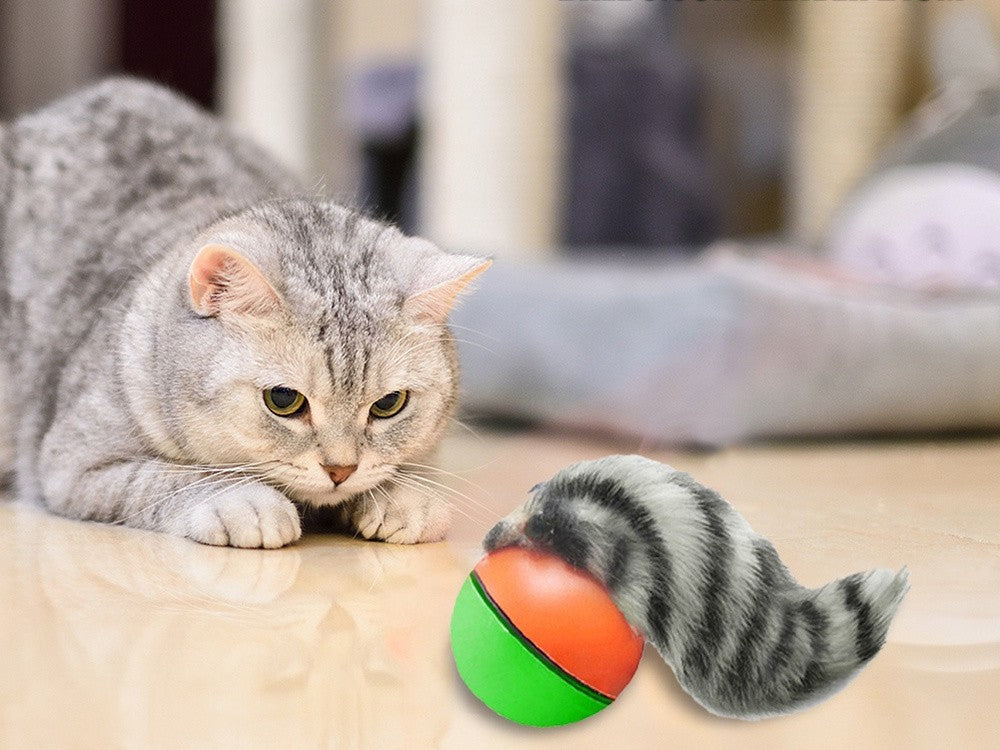 Interaktives Katzenspielzeug – Laufender Ball mit Frettchen & Bewegung – Für Katzen & Hunde, Batteriebetrieben