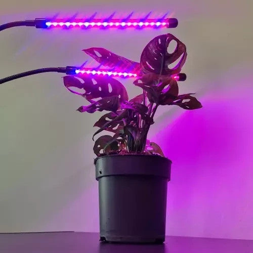 LED Pflanzenlampe 20W 💡 Grow Light Dimmbar Timer 3/9/12h IP54 Pflanzenlicht