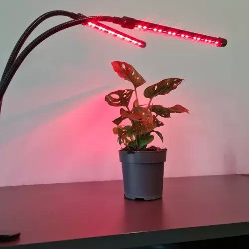 LED Pflanzenlampe 20W 💡 Grow Light Dimmbar Timer 3/9/12h IP54 Pflanzenlicht