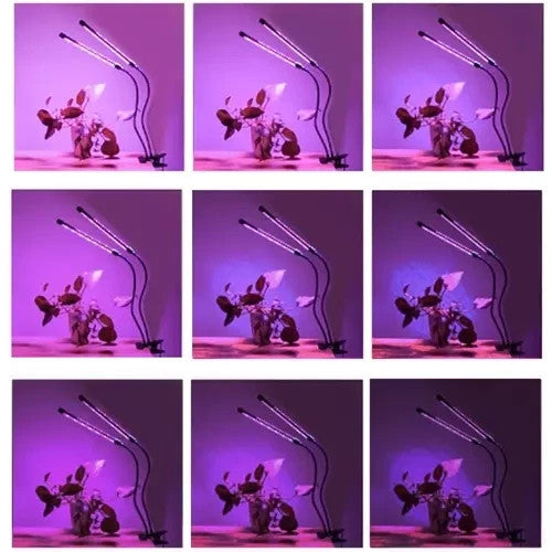 LED Pflanzenlampe 20W 💡 Grow Light Dimmbar Timer 3/9/12h IP54 Pflanzenlicht