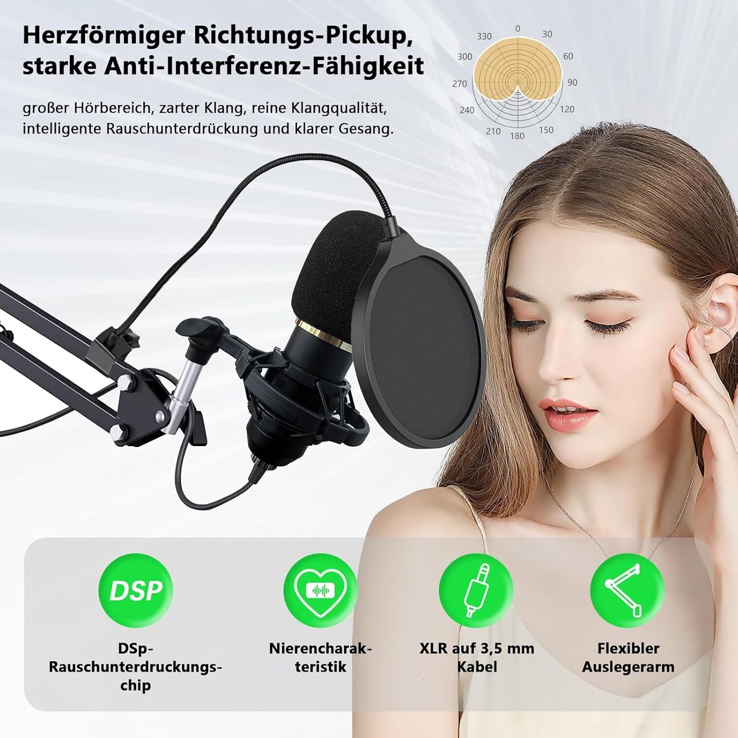 DJ Controller Set Soundkarte mit Mikrofon für PC Karaoke Podcast Streaming