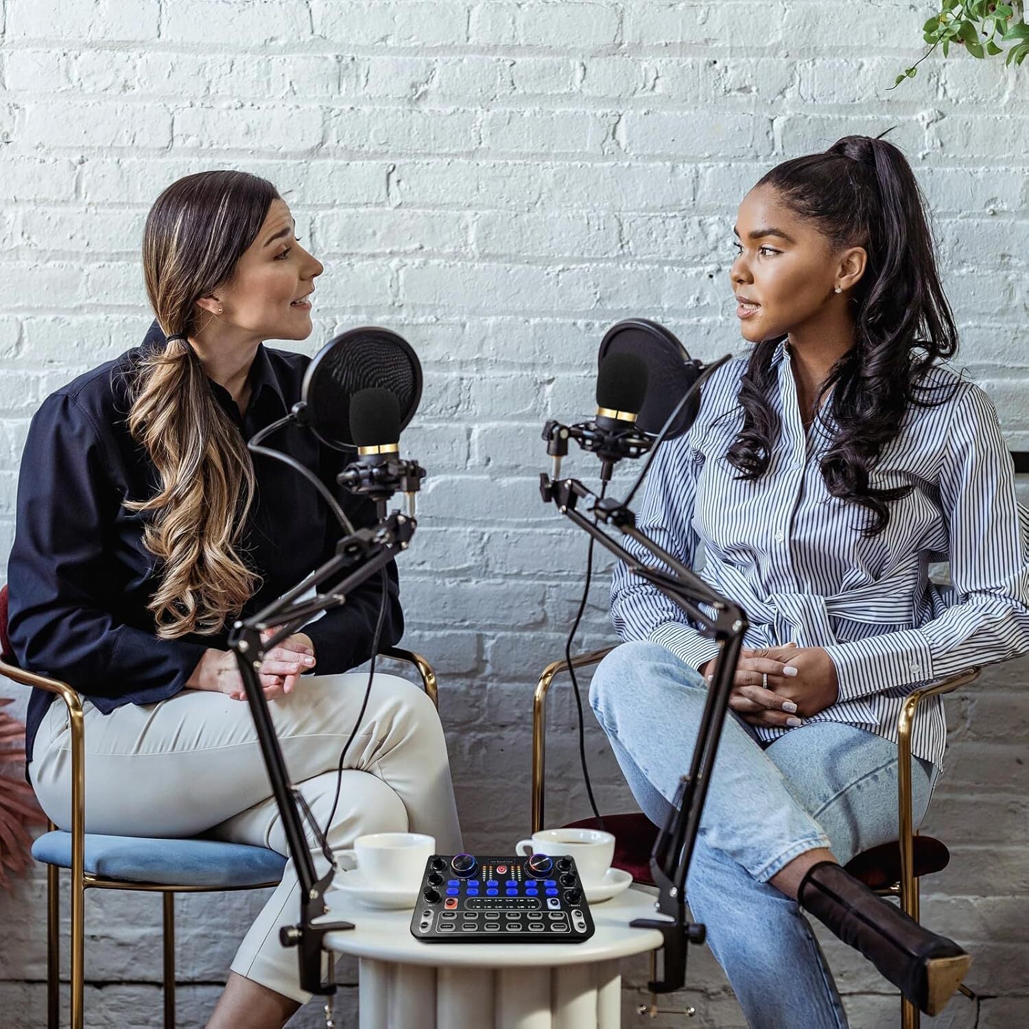 DJ Controller Set Soundkarte mit Mikrofon für PC Karaoke Podcast Streaming