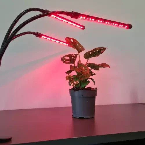 LED Pflanzenlampe 3 Kopf Grow Lampe Vollspektrum Pflanzenlicht USB Timer