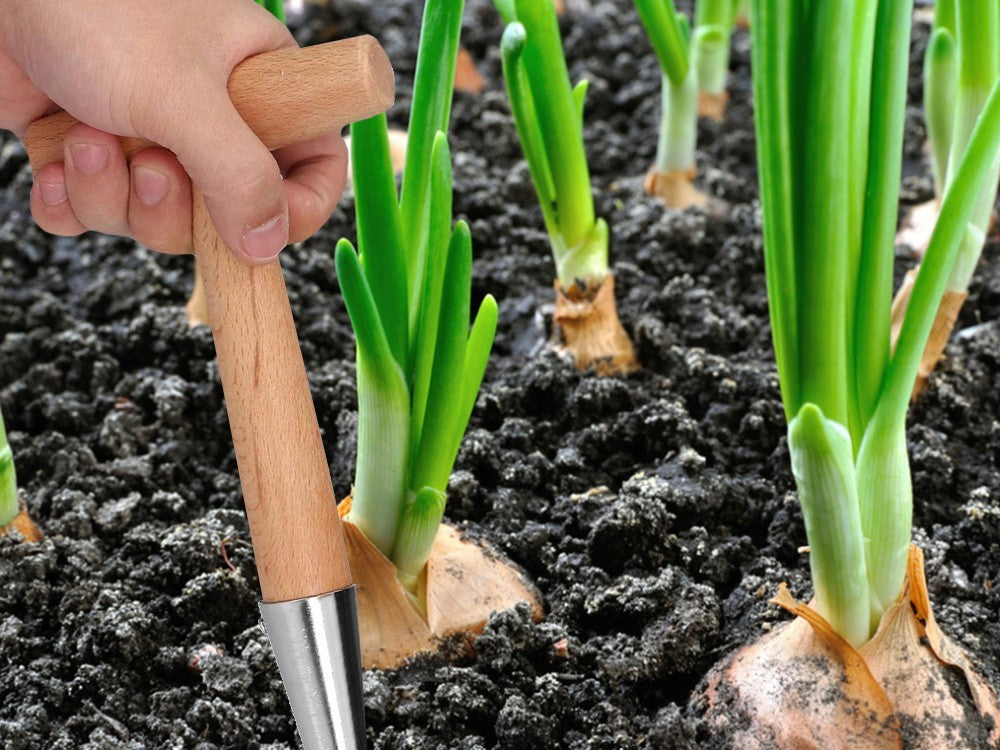 Pflanzdorn Blumenzwiebel Pflanzer Pflanzhilfe Holzgriff mit Skala Garten