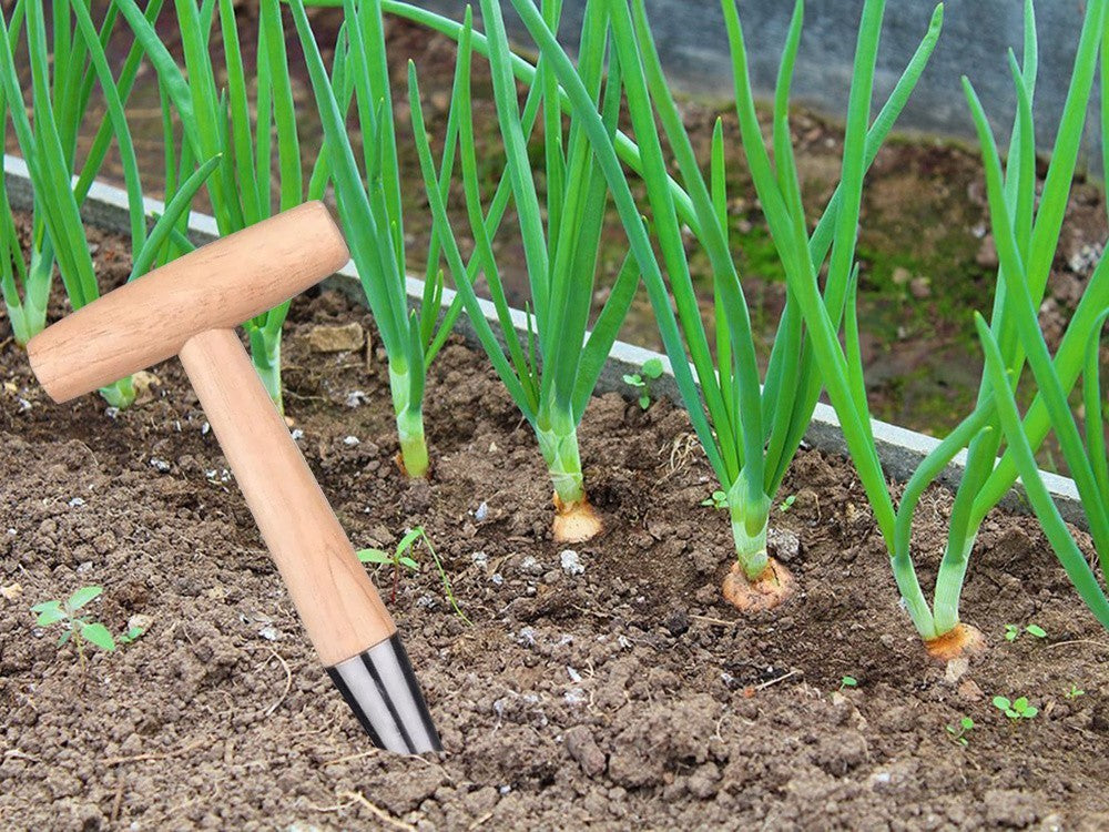 Pflanzdorn Blumenzwiebel Pflanzer Pflanzhilfe Holzgriff mit Skala Garten