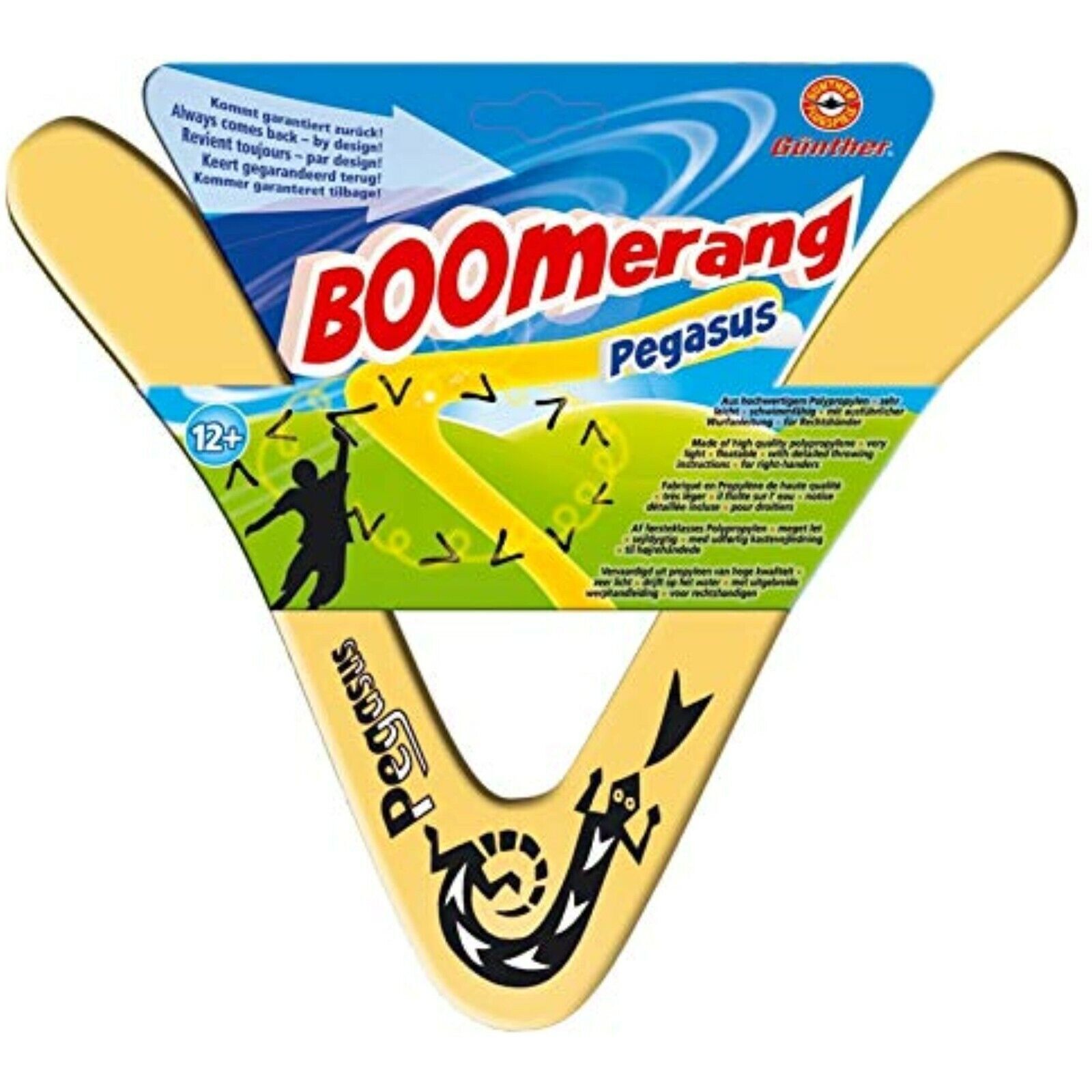 Paul Günther 1374 Pegasus Boomerang Bumerang Sport Kids Kinder Einsteiger Spin